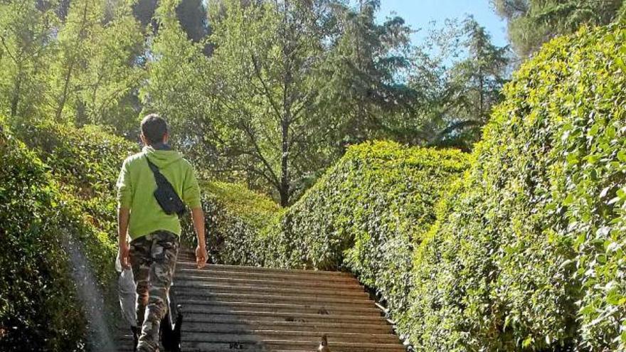 Ampolles de vidre a les escales del parc