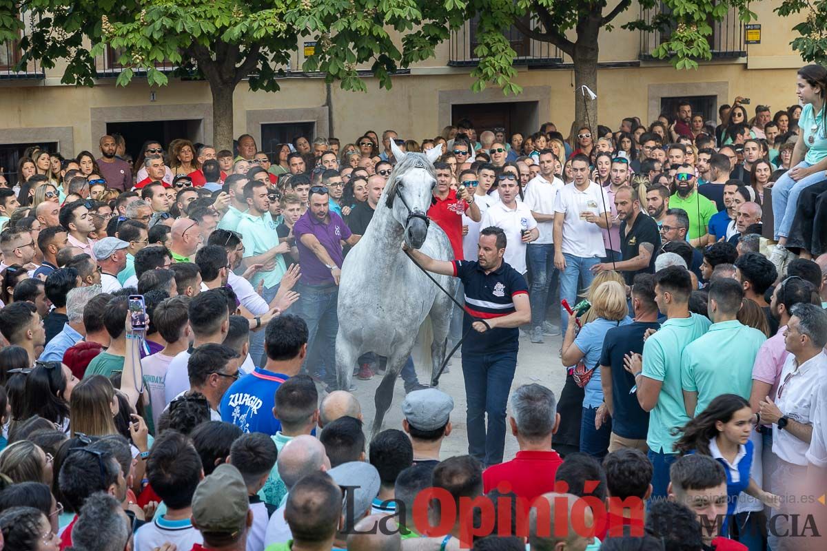 Entrega de premios del concurso morfológico de los Caballos del Vino de Caravaca