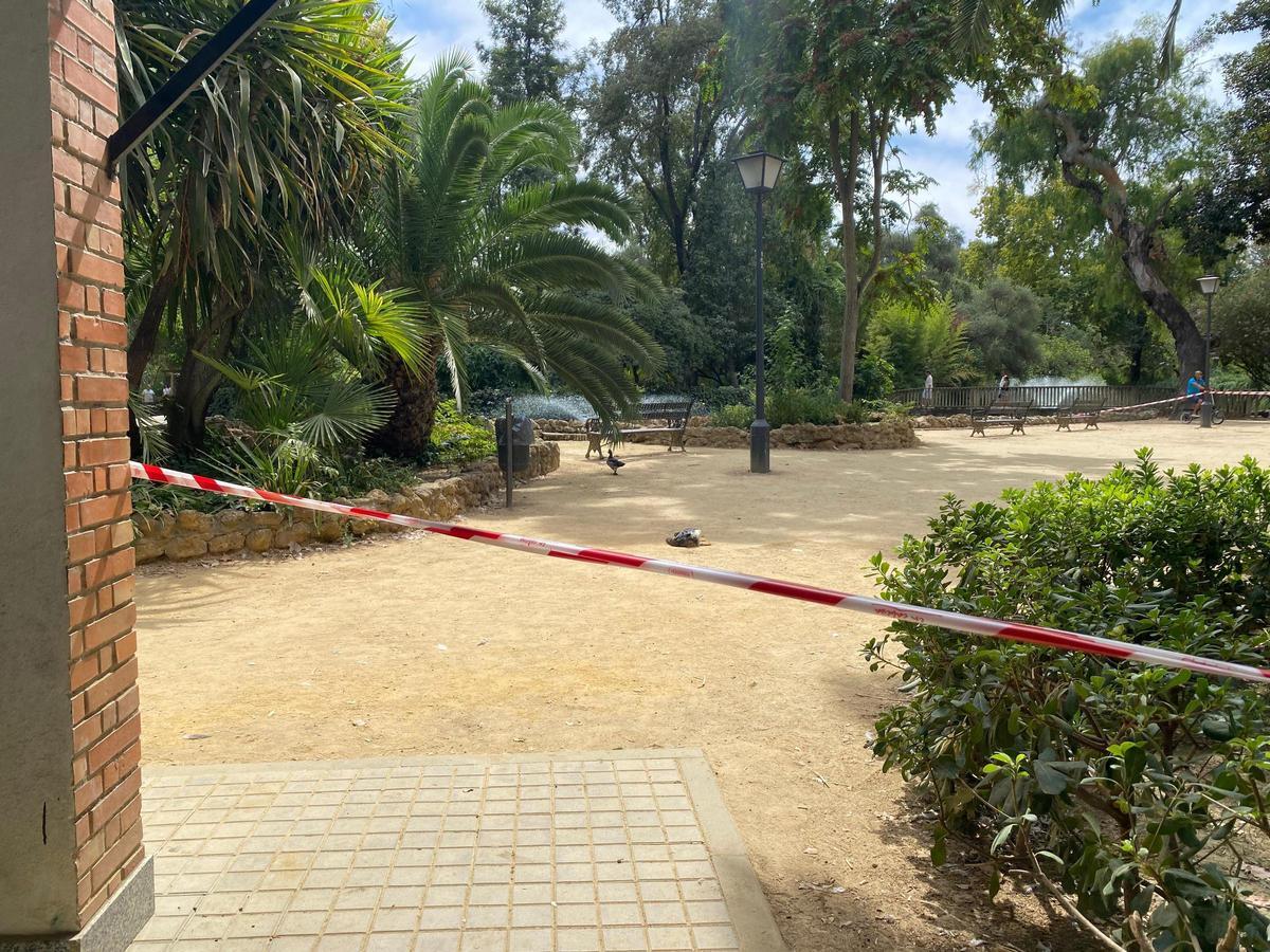 Un pato tirado en el suelo en el parque de María Luisa.
