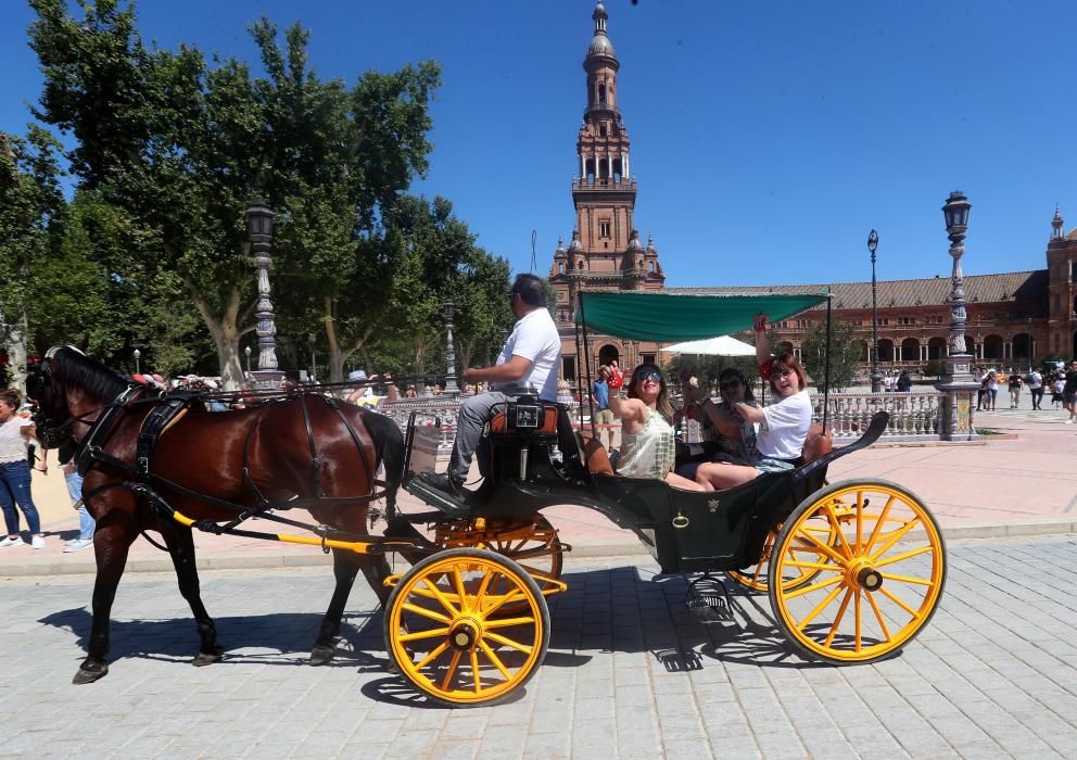 Sevilla es valencianista