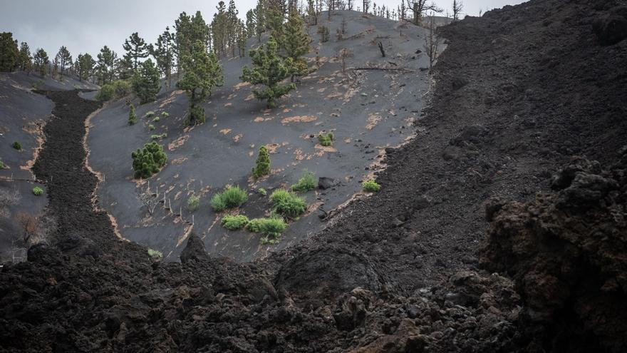 Imágenes del volcán de La Palma dos años después de la erupción