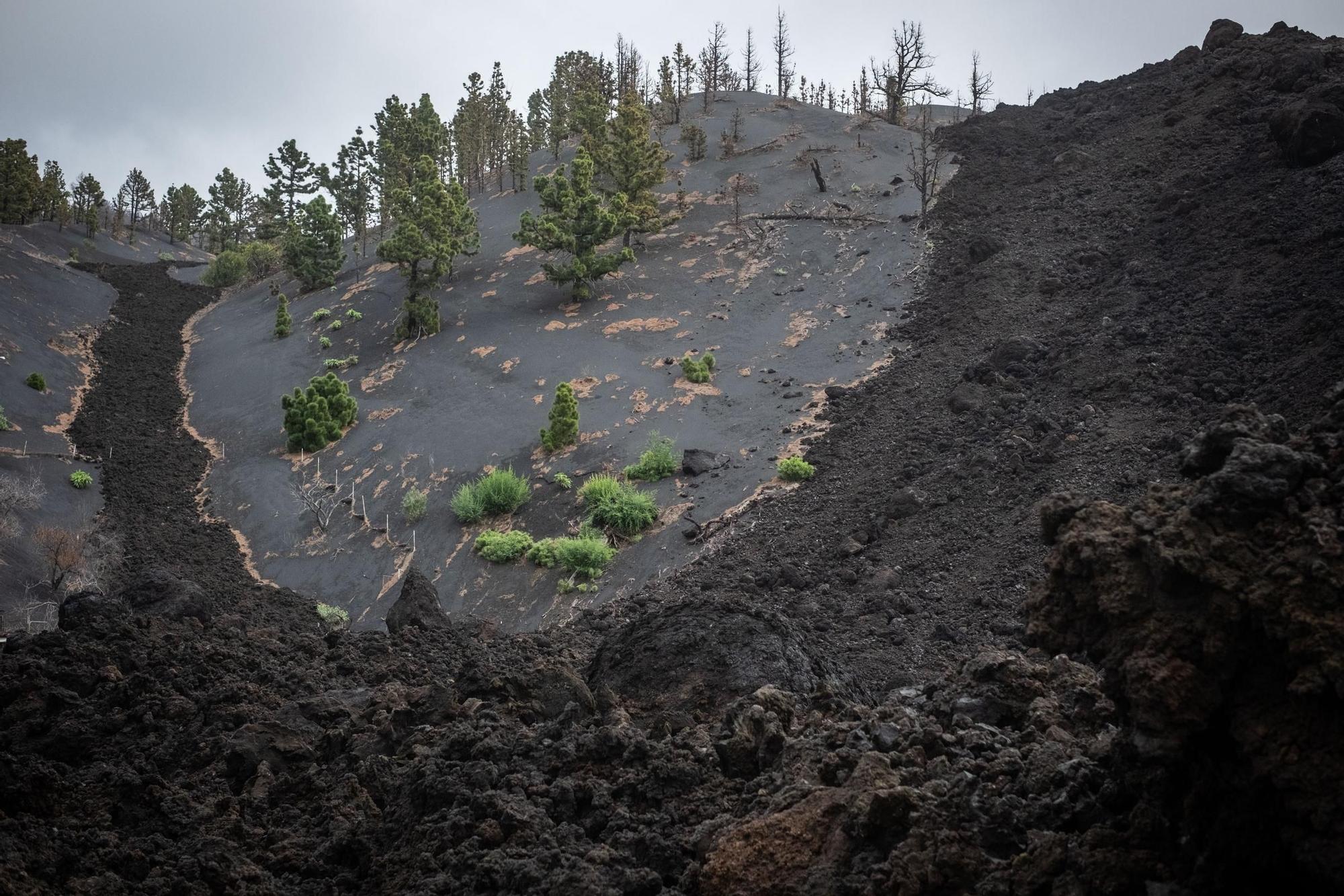 Imágenes del volcán de La Palma dos años después de la erupción