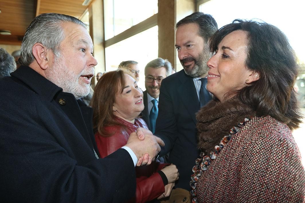 Entrega de los Premios Plaza de la Constitución