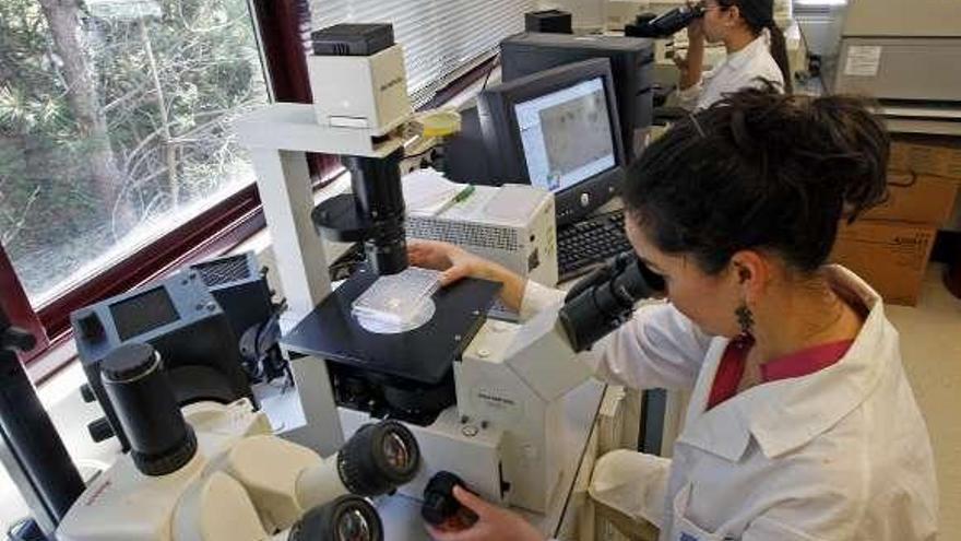 Rusia examina al sector pesquero gallego con inspecciones &quot;muy exhaustivas y rigurosas&quot;