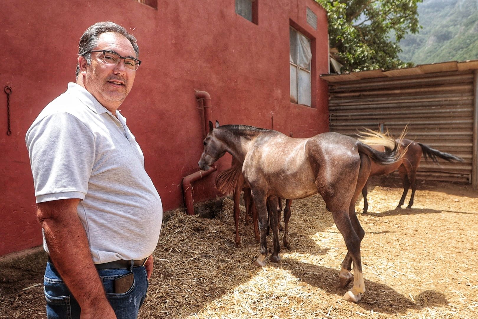 Atención a los animales desalojados por el incendio