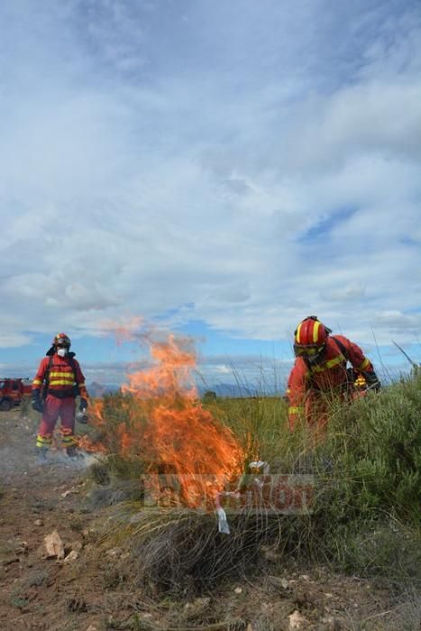 La Unidad Militar de Emergencias en Cieza