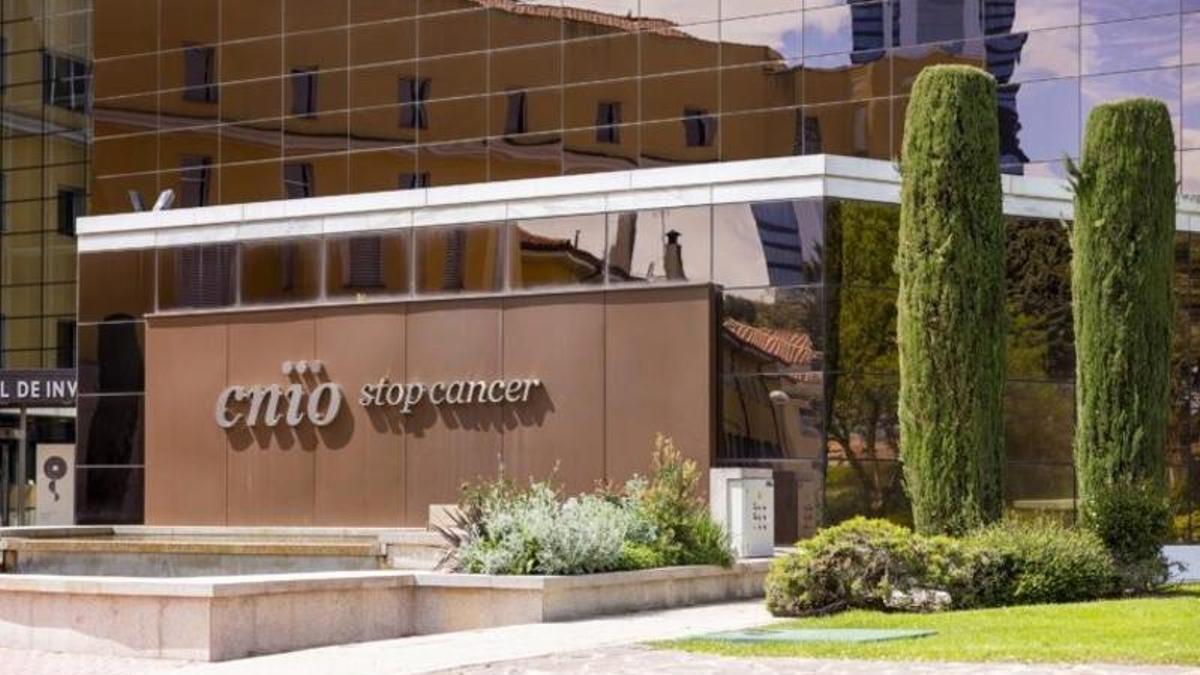 CNIO Mütevelli Heyeti, Cristina Navarro Enterría'yı yeni genel müdür olarak seçti