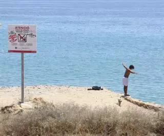 ¿He de deixar anar sol el meu fill a la platja amb els amics?