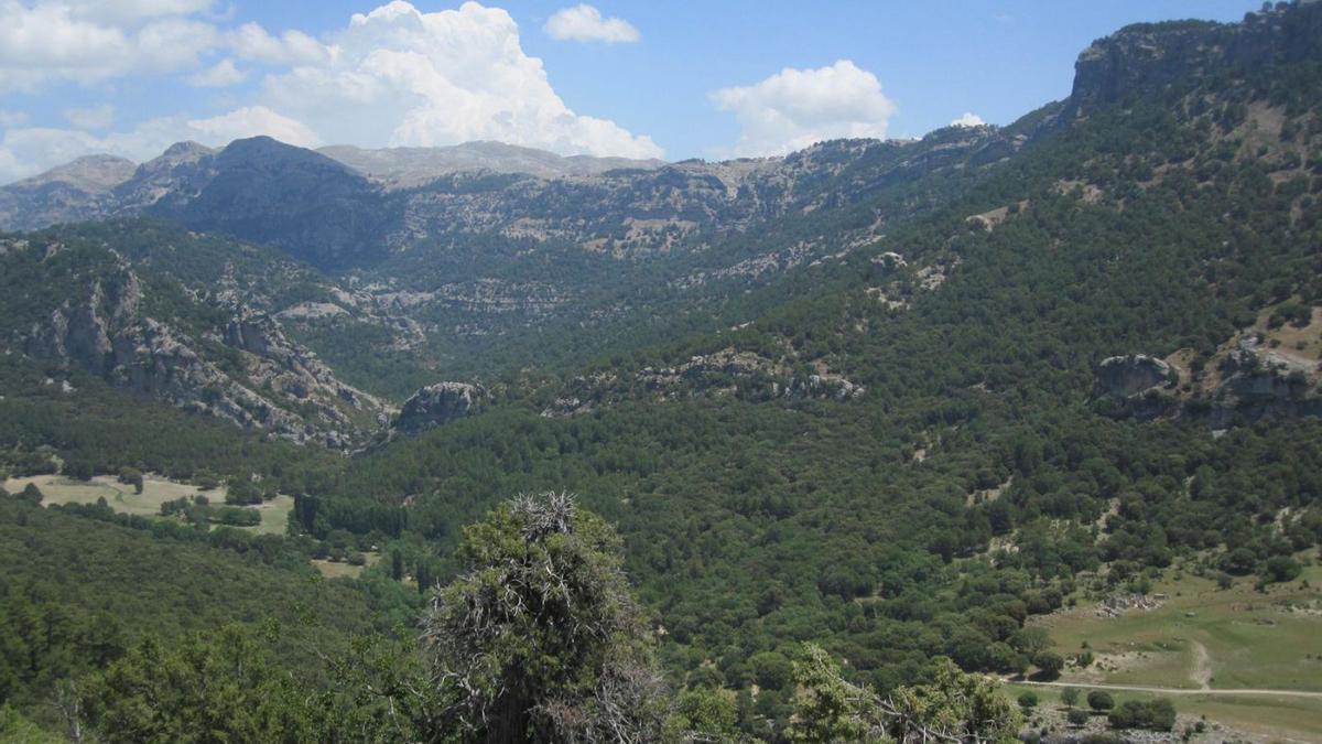 El Parque Natural de Cazorla, área que fue objeto de la reintroducción del quebrantahuesos en Andalucía.