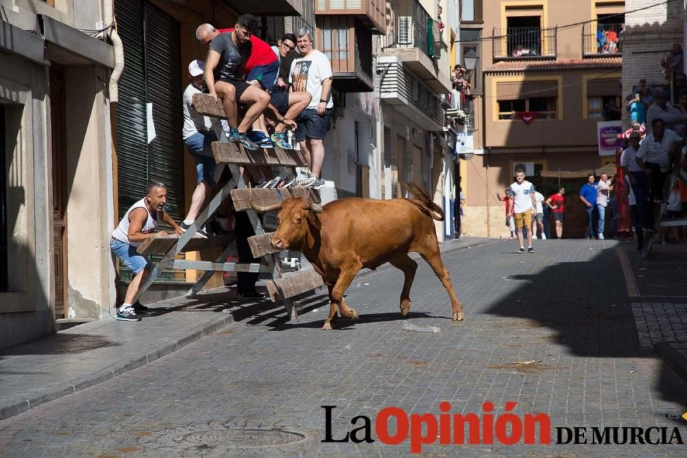 Primer encierro Fiestas de Moratalla