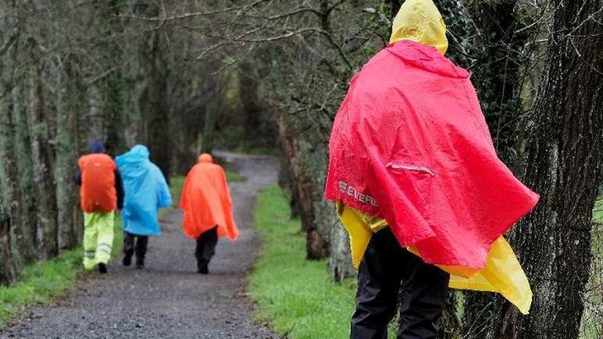 Un grupo de peregrinos protegidos de la lluvia, en diciembre. // FdV