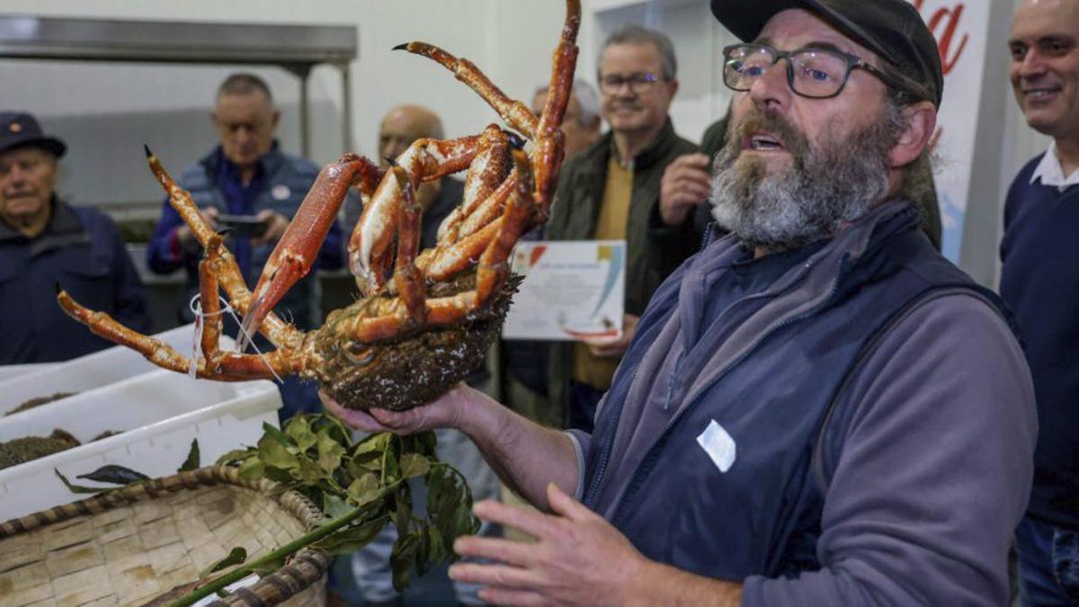 Subasta de centollo en presencia del presidente de Emgrobes.
