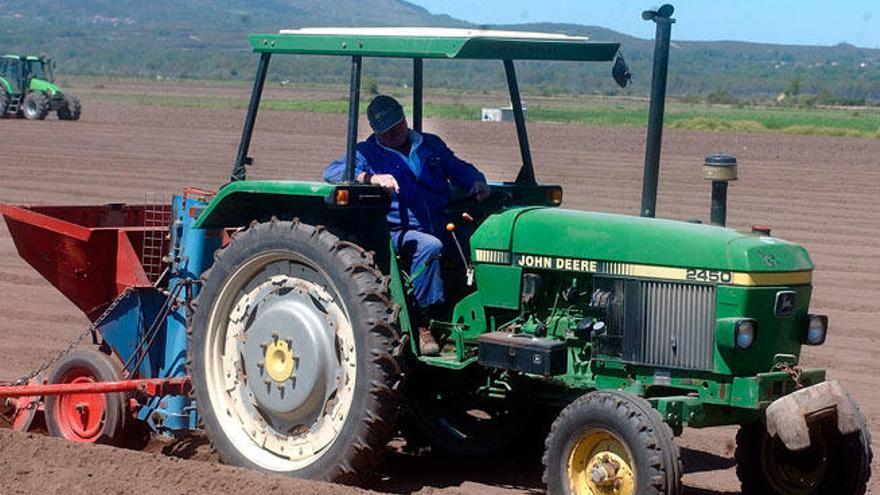 Tareas de recogida de patata en la comarca de Xinzo de Limia. // Iñaki Osorio