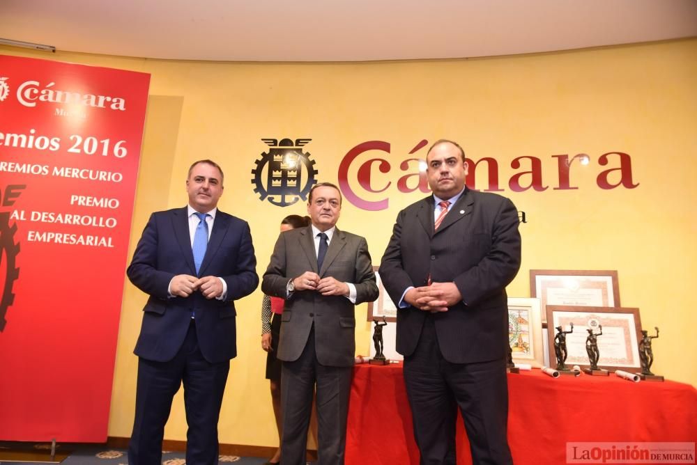 Noche de la Economía Murciana: Premios Mercurio y del Premio al Desarrollo Empresarial