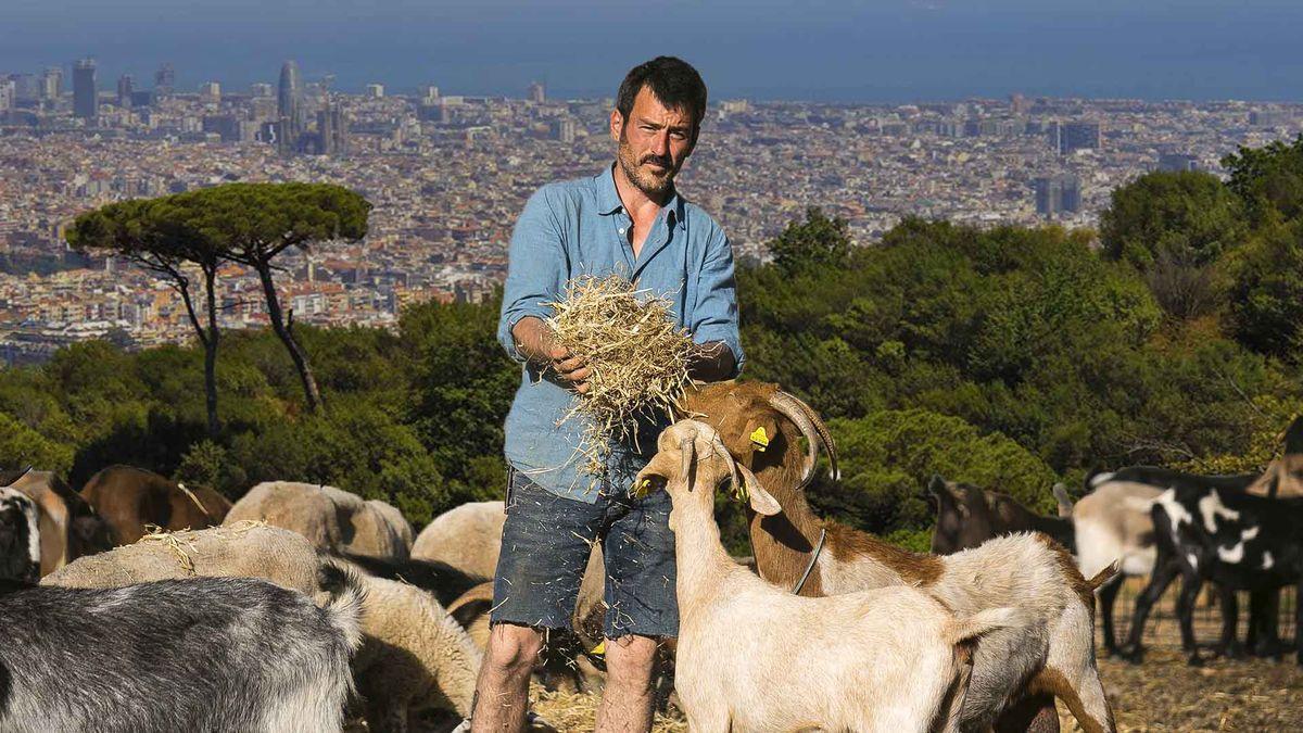 El único pastor de Barcelona: “Decidí no trabajar más para vivir así”