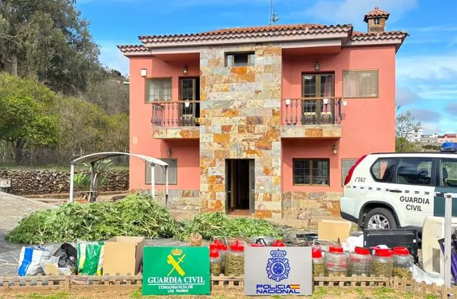 Desmantelan un punto de venta clandestino de marihuana en Gran Canaria y detienen a dos personas