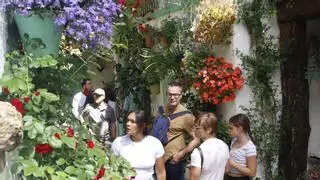 Los Patios de Córdoba se despiden de la fiesta en una jornada calurosa tras 14 días intensos y miles de visitas
