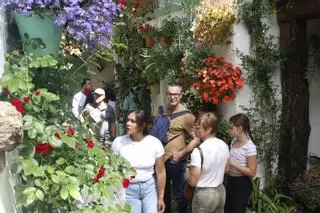 Las últimas visitas a los Patios de Córdoba 2026