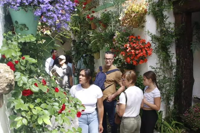 Las últimas visitas a los Patios de Córdoba 2026