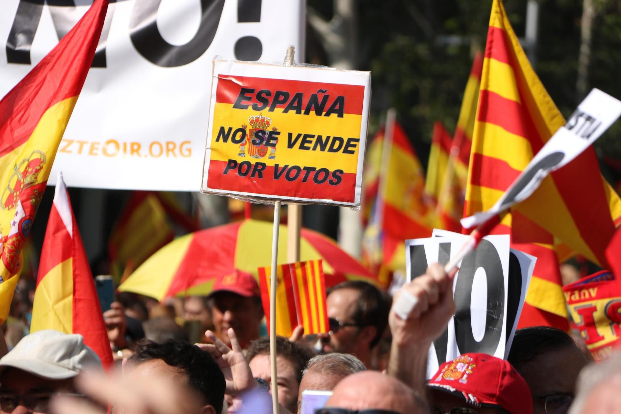 La manifestació en contra la amnistia i autodeterminació en imatges