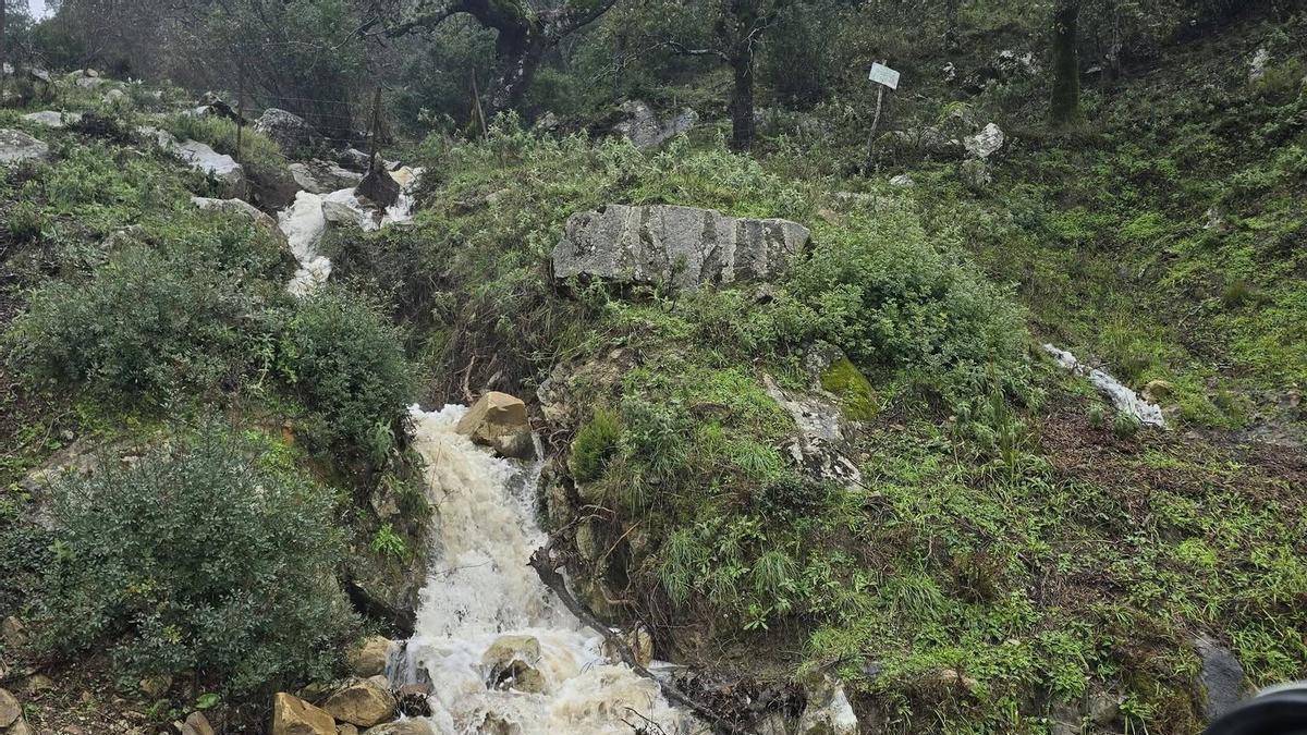 La lluvia ha hecho que los arroyos hayan corrido con fuerza en el municipio malagueño de Gaucín, donde se han registrado tres hidrosismos debido al movimiento de aguas subterráneas.