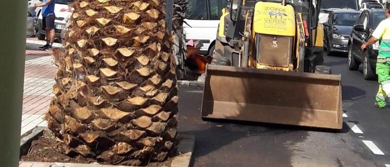 Los trabajos se ejecutan en la avenida Marqués Villanueva del Prado