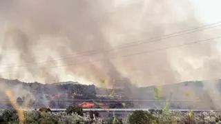 El incendio de Montblanc obliga a desalojar a unas 1.500 personas de un cámping