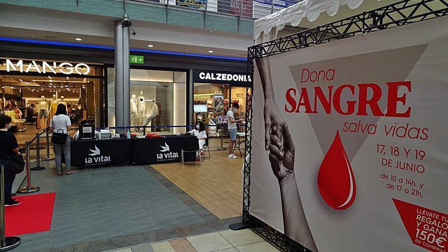 La Vital bate récords en su donación de sangre con 600 personas solidarias