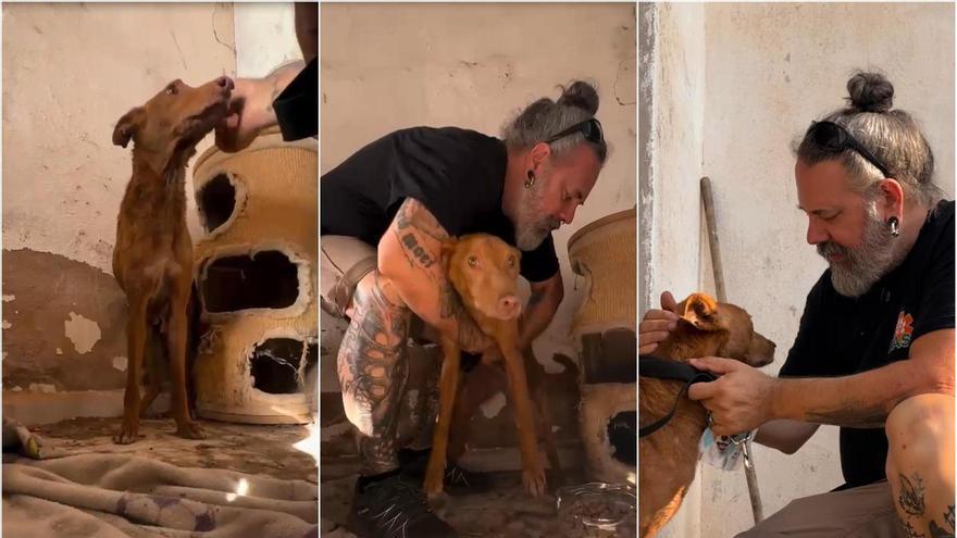Vídeo: Rescate de un perro durante el incendio de la Serra d'Espadà