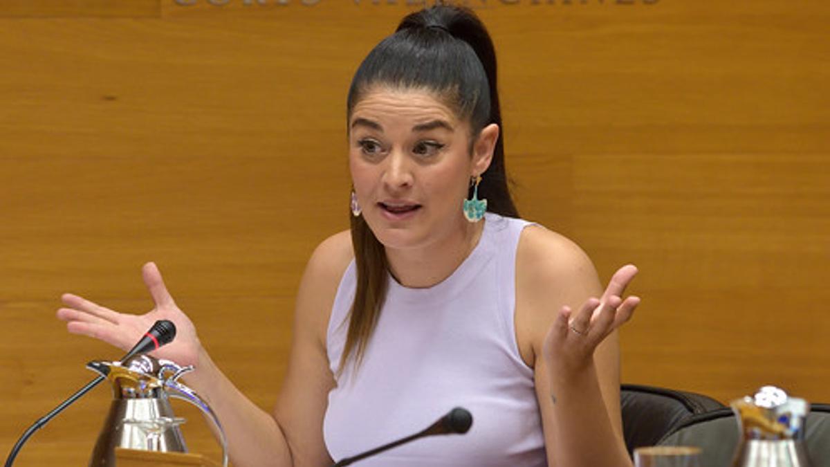 Mollà, en la comisión de medio ambiente de este martes en las Corts.