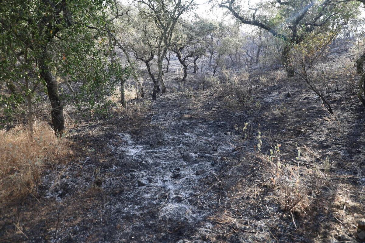 El Infoca trabaja en la extinción del incendio de Las Jaras en la sierra de Córdoba