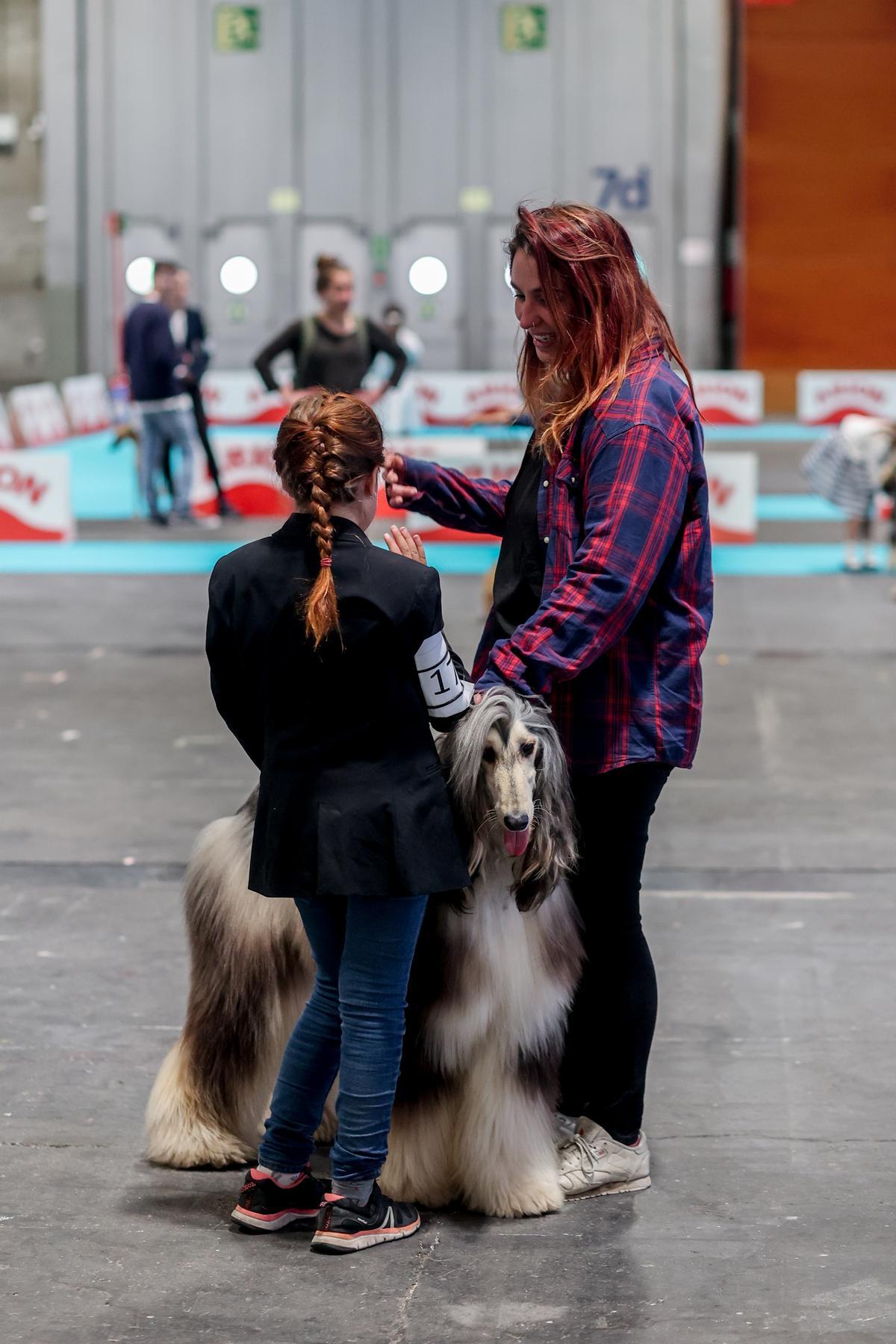 Mad Dog Show: fiebre por los perros en Madrid