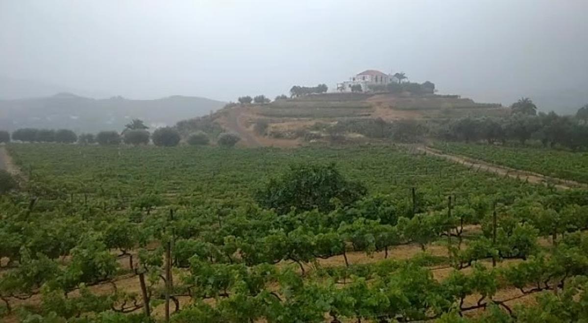 Vista de la bodega Tamerán.