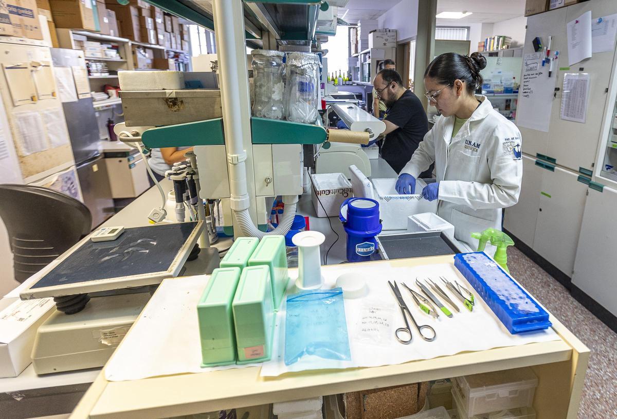 Uno de los laboratorios del Instituto de Neurociencias de la UMH y el CSIC