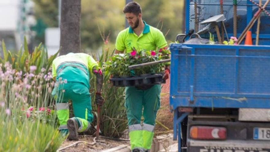 Marbella gastará 2,5 millones de euros en ornato vegetal en cinco años