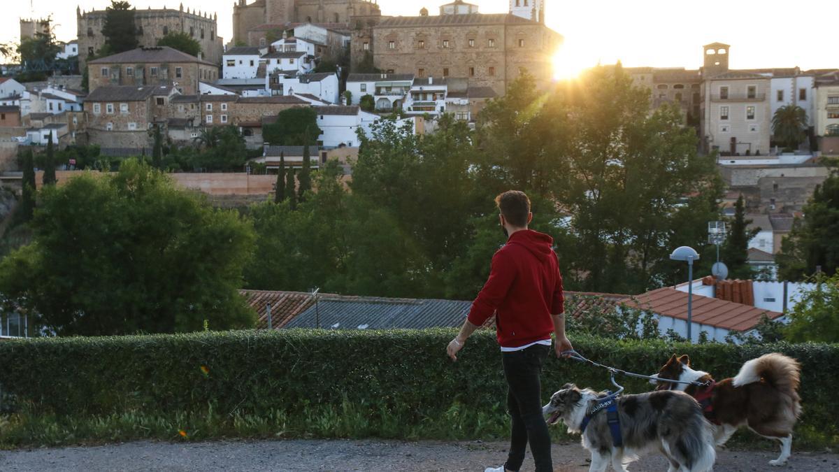 Pablo Rodríguez junto a sus dos perros en la parte antigua cacereña.