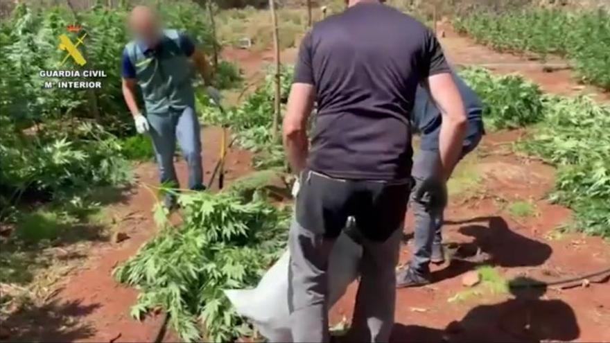Un hombre crea en Sierra Bermeja un campamento para cultivar marihuana que regaba con agua del Infoca