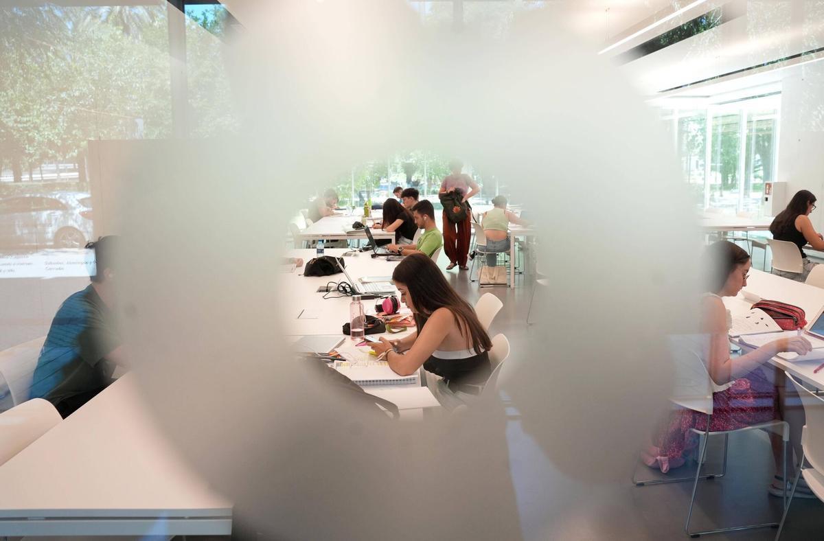 Córdoba. Gente estudiando para la PEVAU EN LA BIBLIOTECA DEL GRUPO CÁNTICO