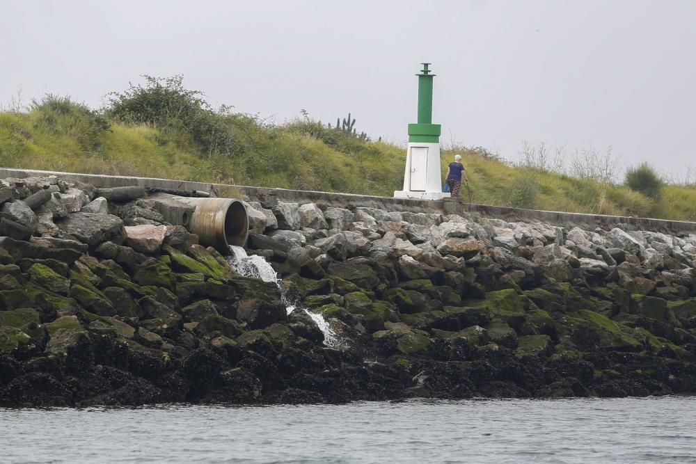 Ecologistas en Acción en la ría de Avilés