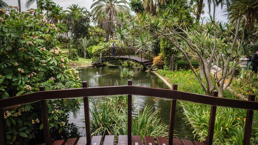 El Hotel Botánico &amp; The Oriental Spa Garden gana el premio Travellers Choice 2025, de Tripadvisor