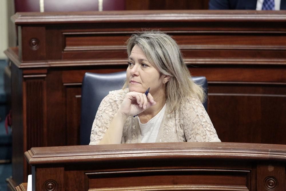 Pleno del Parlamento de Canarias 27-11-19