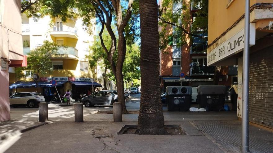 La víctima del crimen de Son Gotleu recibió una única puñalada, que le alcanzó el corazón