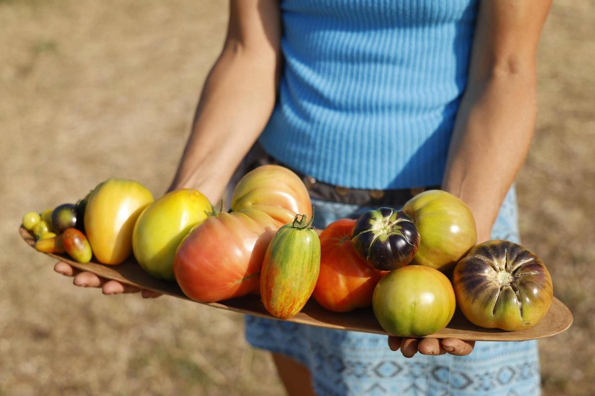 Algunes de les varietats que es cultiven a l'Hort de la Mercè.