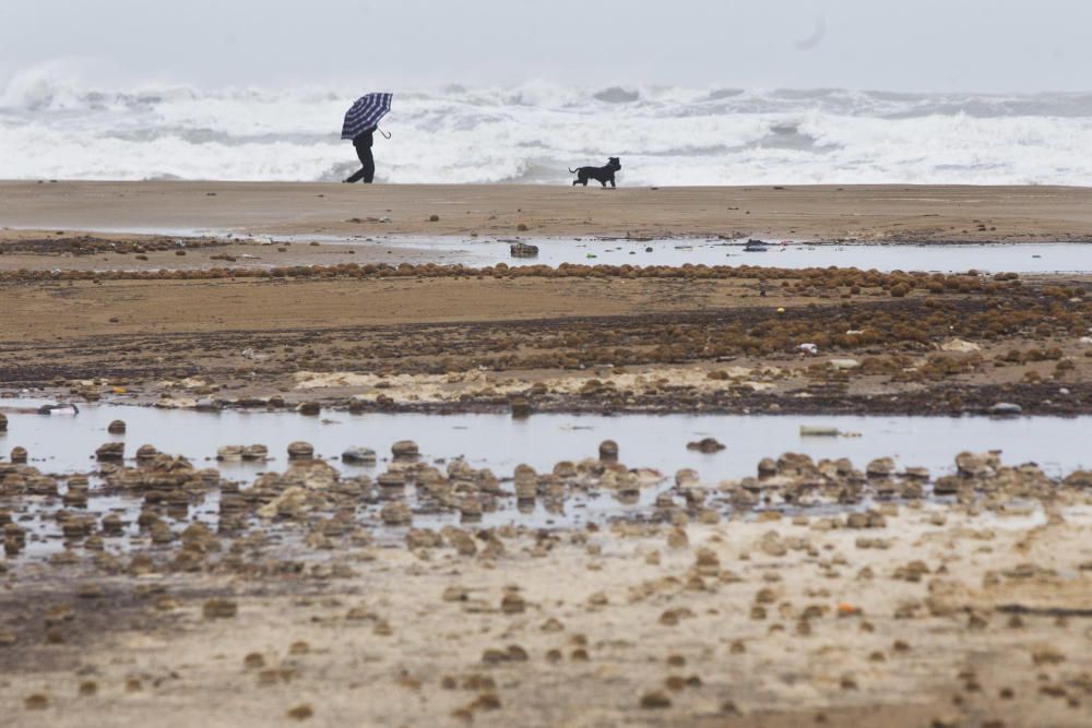 Las playas de la Malva-rosa, el Cabanyal y la Marina tras el temporal marítimo.