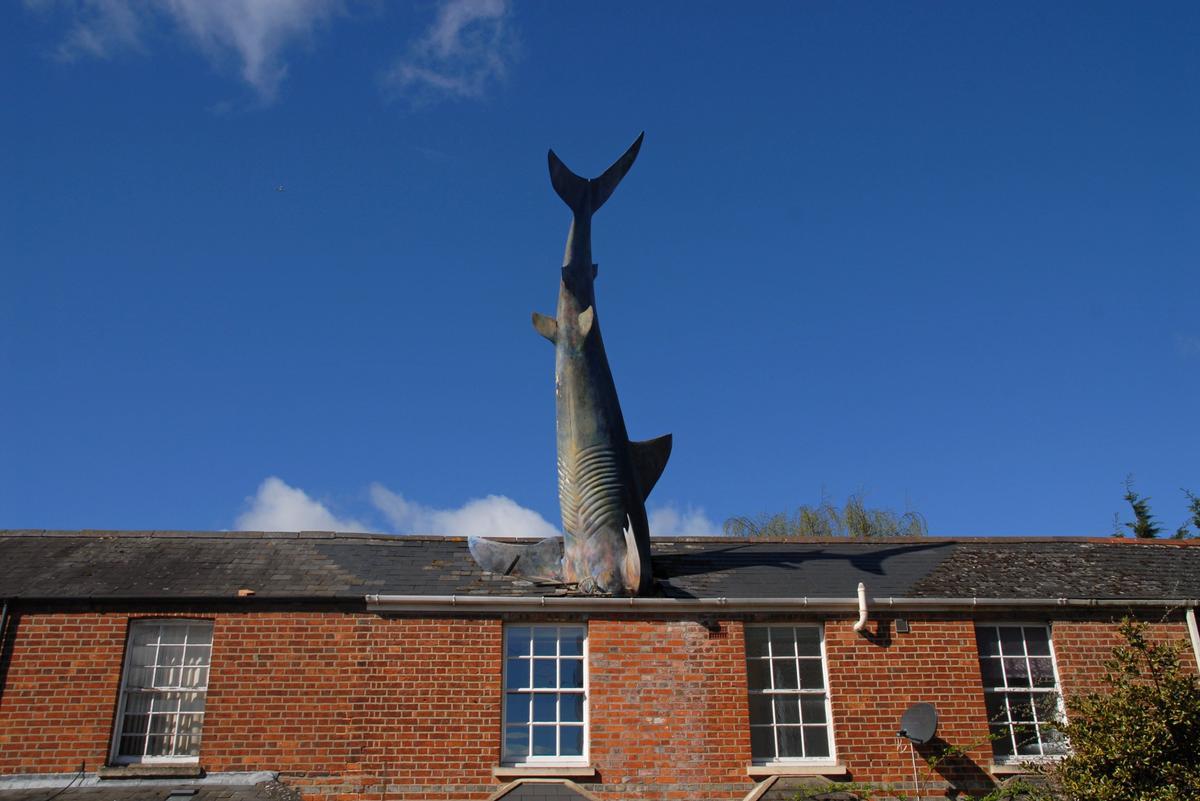 Headington Shark, de John Buckley