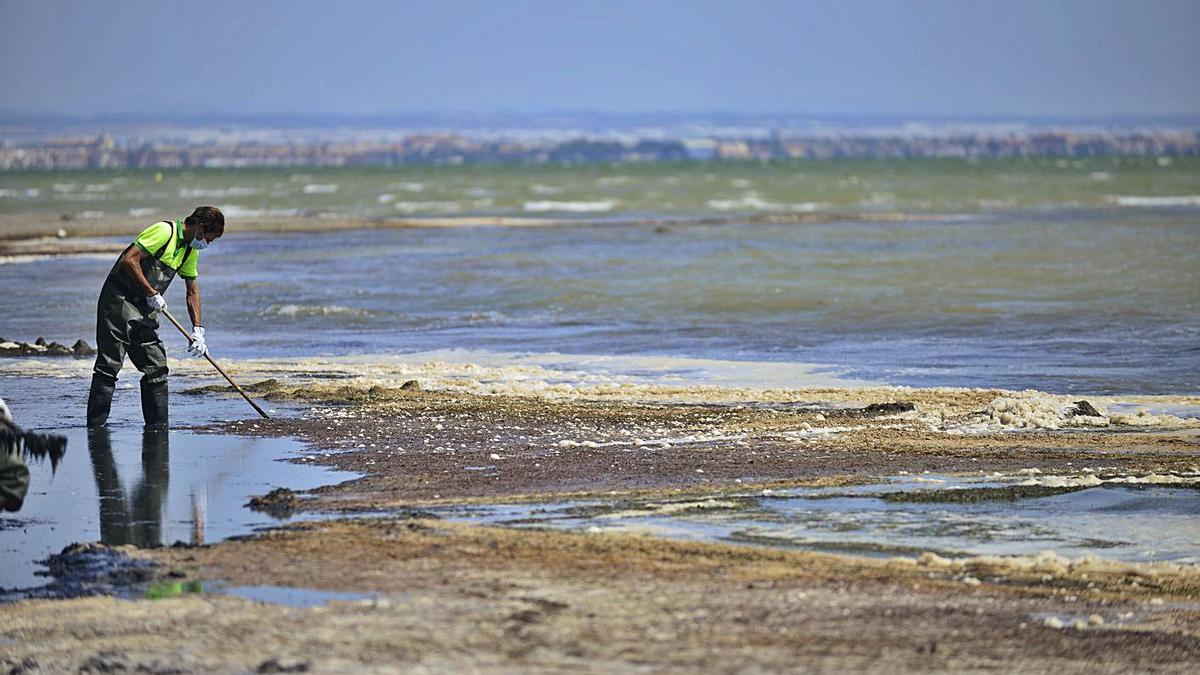 Un técnico retira ‘ova verde’ de la orilla del Mar Menor.  | IVÁN URQUÍZAR