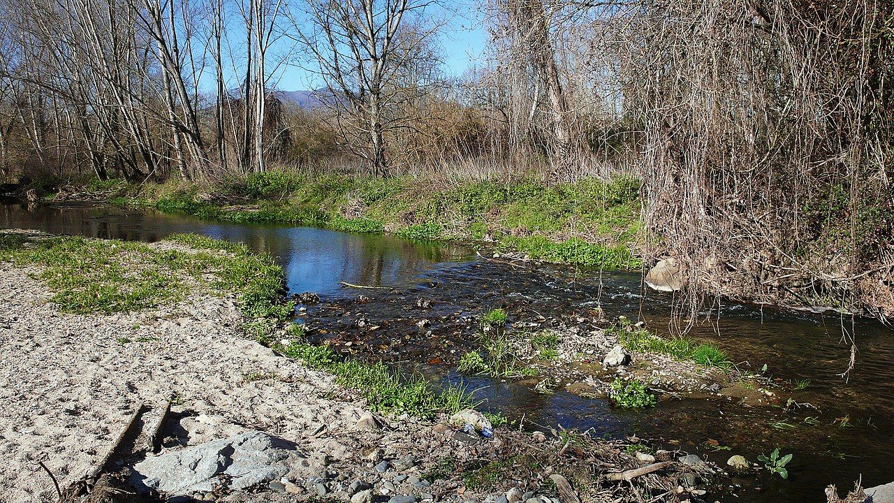 El río Tordera