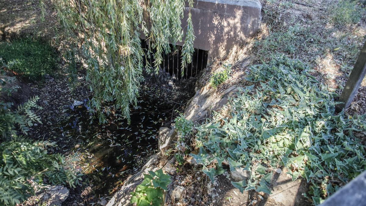 Vertidos en el arroyo de Valorio