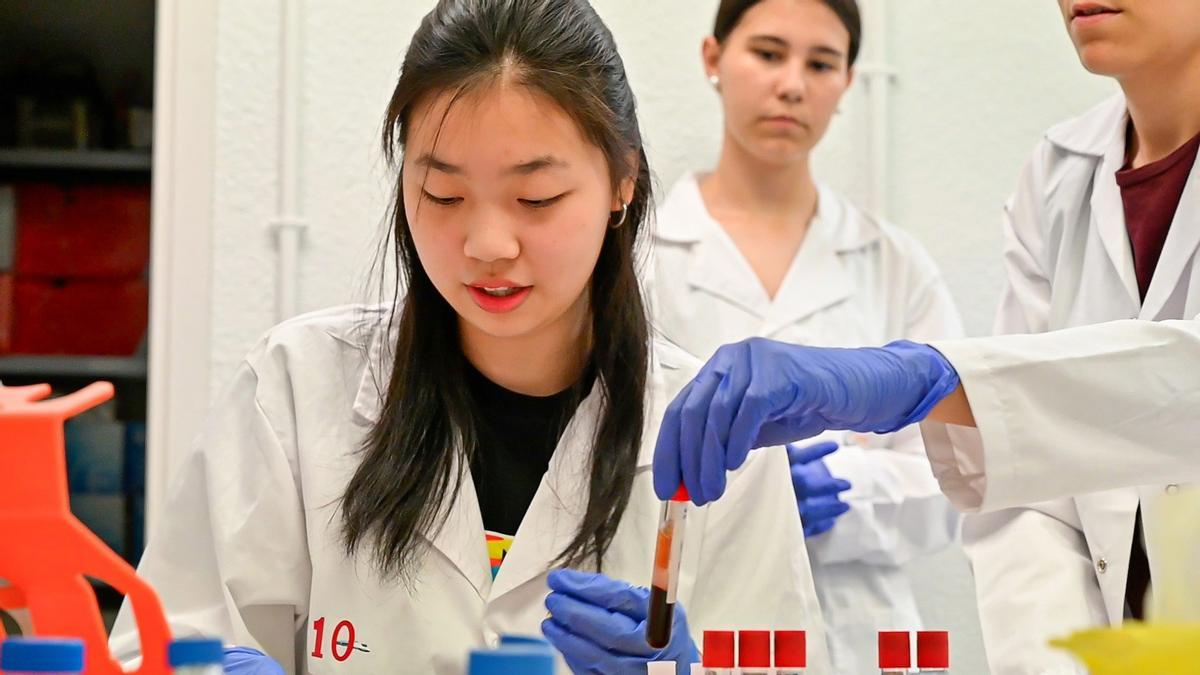 El Hospital Gregorio Marañón abre sus laboratorios de investigación a estudiantes de Secundaria “en prácticas” durante una semana