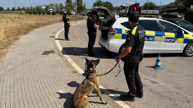 Les imatges del controls de la Policia Local de Palafrugell